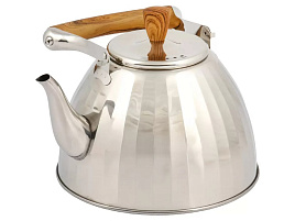 Чайник нержавейка 3л GS-04431A-4/8978 Даникс индукция
