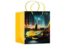 Упаковочная сумочка 18*23 PM-127534-LMB Авто ламб