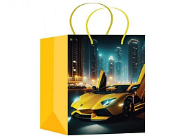 Упаковочная сумочка 18*23 PM-127534-LMB Авто ламб