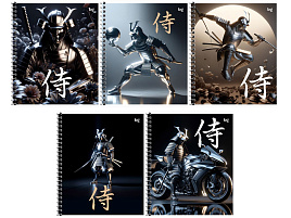 Тетрадь 48л. на спирали  Т5гр48 61095 "Доспехи"