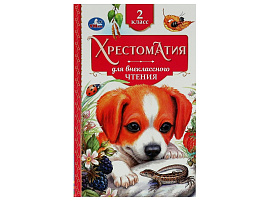 Книга Внеклассное чтение 7727-5 Хрестоматия 2 класс