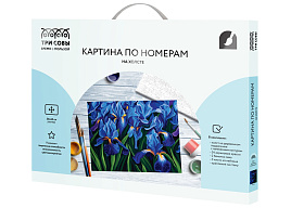Набор для раскрашивания по номерам ТРИ СОВЫ КХ_3040_53874 "Ирисы", 30*40, с акриловыми красками и кистями