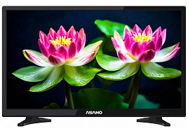 Телевизор ASANO 24LH1010T