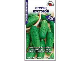 Семена Огурец Кустовой 0,5г б/п ЗСА 4873