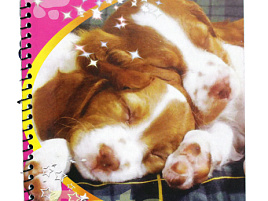 Зубная паста Сенсодин 75мл Здоровье десен