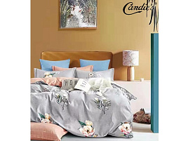 Постельное 1,5сп Candis сатин