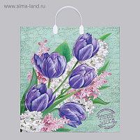 Пакет петля с пласт.ручкой 40*44 Беатрис