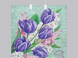 Пакет петля с пласт.ручкой 40*44 Беатрис