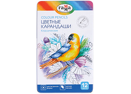 Карандаши цветные 12цв. Гамма 80220212 "Классические", увелич. диаметр грифеля 3,3мм, заточен., метал. пенал