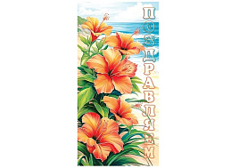 Конверт для денег Поздравляем 2-16-2902