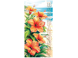 Конверт для денег Поздравляем 2-16-2902