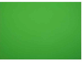 Цветной картон Мульти-Пульти Кп_54118 зеленый, плакатный 48*68см, мелованный в пакете, 380г/м2