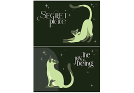 Альбом для рисования 40л. BG АР4ск40_вл 59524 "Secret Place", выб. лак