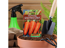 Семена Морковь Шантане 2461 2г А 9981