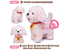 Игрушка на батарейках 00-7628 Лаки поет, ходит, повторяет