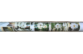 Клеенка столовая МД240 1,37*20 ST5253-1