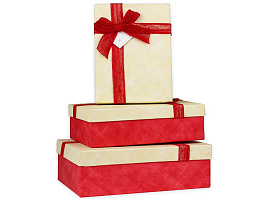 Коробка Бесценные моменты коралл ПП-5418 (3)