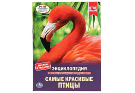 Книга Энциклопедия Р/З 4304-1 Самые красивые птицы