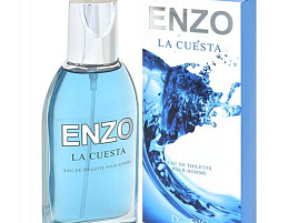Туалетная вода мужская .Enzo La Cuesta 90мл.