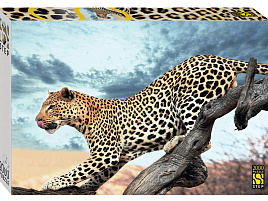 Пазл 2000эл. Леопард в дикой природе 84053