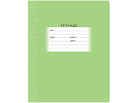 Тетрадь 12л. кос. линия  Т5ск12 54502 "Школьная", зеленая, эконом