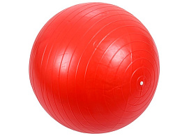 Мяч гимнастический 141-21-59 55см