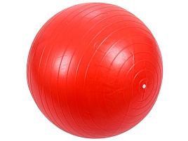 Мяч гимнастический 141-21-59 55см