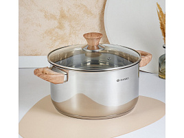 Кастрюля нержавейка 6л GS-01147-24CA/3555 Daniks Осло индукция