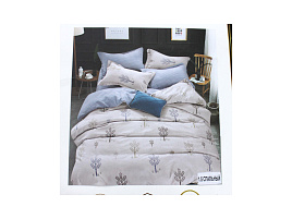 Постельное 1,5сп Candis хлопок