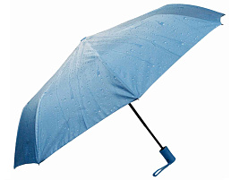 Зонт женский полуавтомат HTDMYR48/7015 Розы голубой