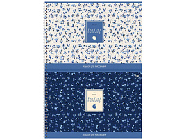 Альбом для рисования 48л. BG АР4гр48 08655 "Цветочки"