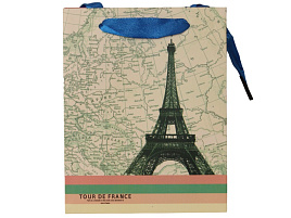 Упаковочная сумочка 12*15 Париж