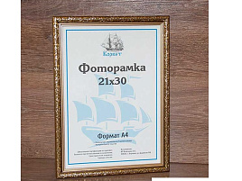 Ф/рамка 21*30 1926A-698А пластик