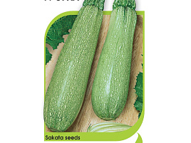 Семена Кабачок Суха F1 5 шт АЭ 8384