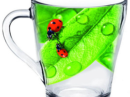 Кружка стекло 250мл 1649-д Зеленый лист