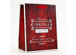 Упаковочная сумочка 18*23 10795235 Только вперед