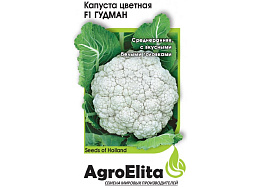 Семена Капуста цв. Гудман F1 10шт АЭ 9207