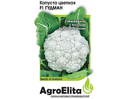 Семена Капуста цв. Гудман F1 10шт АЭ 9207