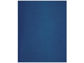 Тетрадь 48л. бумвинил Т5бв48л_12317 линия, синий