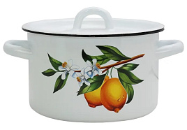 Кастрюля эмаль 2л 01-1610.1/4 Лимоны