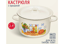 Кастрюля эмаль 2,9л 1с16с/1 рис. Северсталь