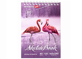 Скетчбук BRAUBERG 112990 белая бумага 120 г/м2 165х240 мм, 80 л., гребень, твердая обложка