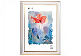 Ф/рамка 15*21 300 пластик