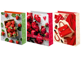 Упаковочная сумочка 18*23 Ч55653 Женская микс