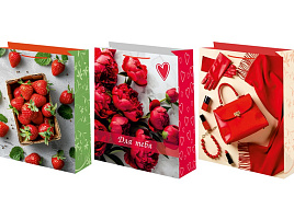 Упаковочная сумочка 18*23 Ч55653 Женская микс