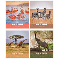 Тетрадь 96л.  Т96кЭ_36448 "Животные. Nature of Africa", эконом
