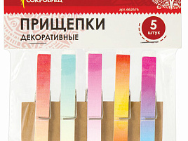 Прищепки декор 662676 Яркий градиент 5шт