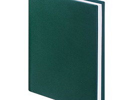 Ежедневник А5 BRAUBERG 123431 недат. "Select", под зернистую кожу, 160л., зеленый