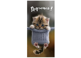 Конверт для денег Держись 2901915