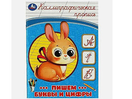 Книга КАЛЛИГРАФИЧЕСКАЯ ПРОПИСЬ 8747-2 Пишем буквы и цифры